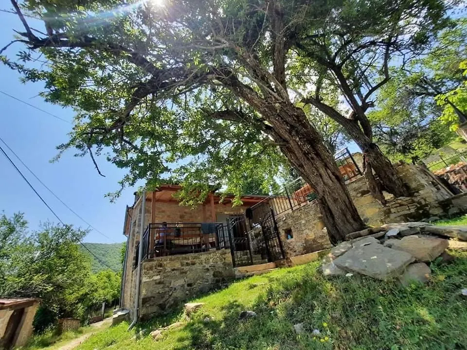 Vila Korchari Dardhe Korce Villa